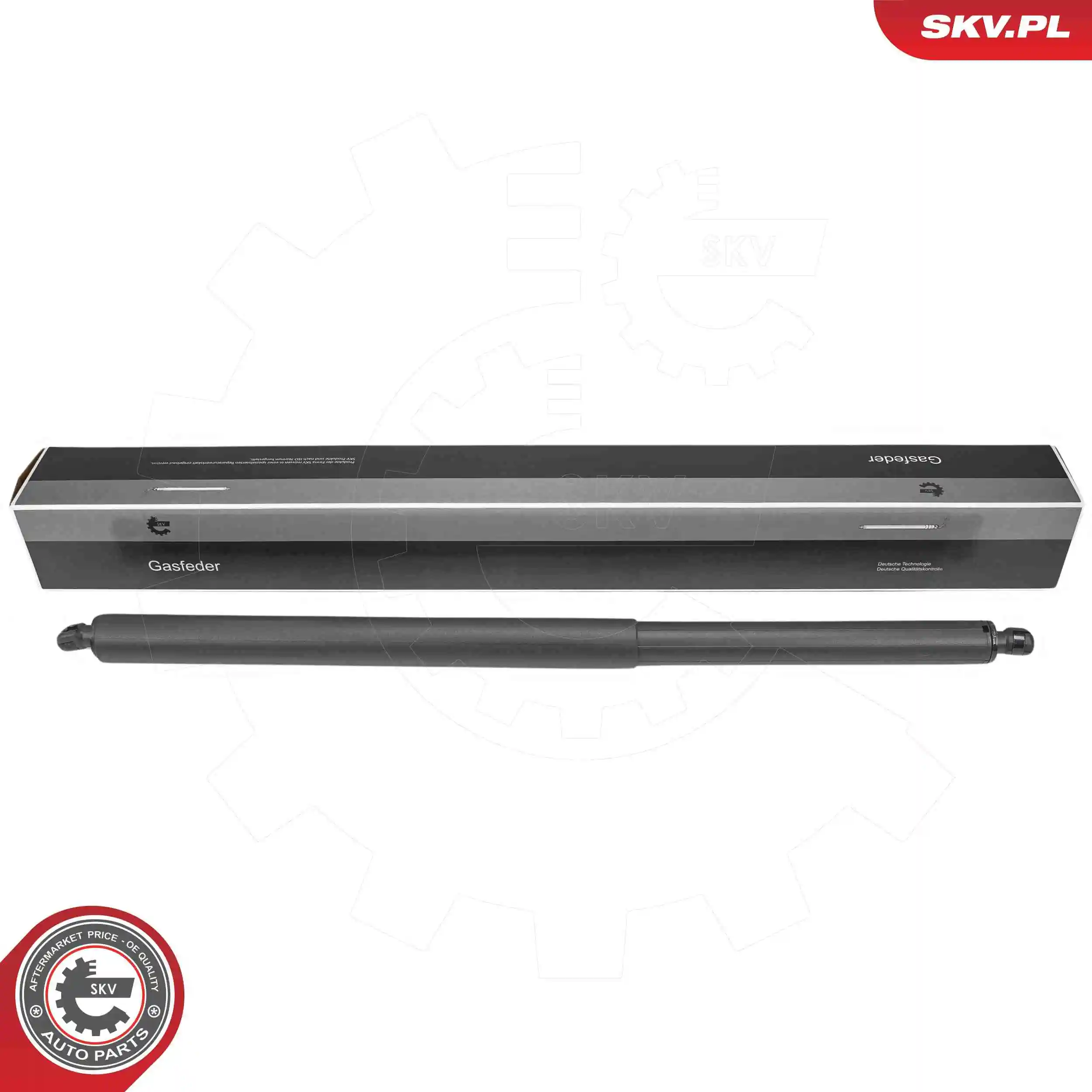 Gas Spring, boot/cargo area